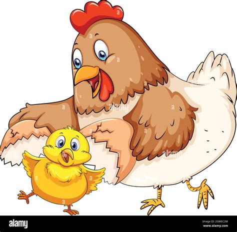 mother hen and little chick stock vector image and art alamy