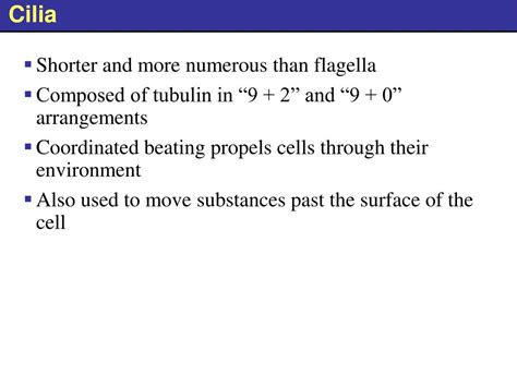 Ppt Cell Structure And Function Chapter 3 Powerpoint Presentation