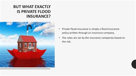 All About Private Flood Insurance By Unity One Insurance