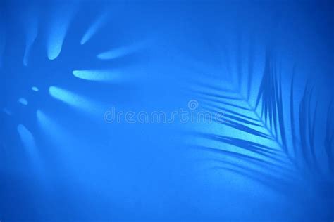Abstract Background Of Shadows Tropical Leaves On Pastel Backdrop In