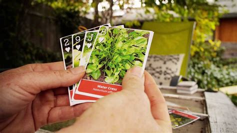 Wild Edibles Playing Cards Youtube