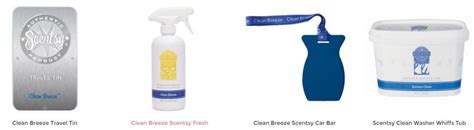 Clean Breeze Scentsy Bar Fresh And Clean Laundry Scent Shop Scentsy