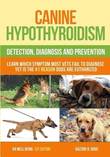 Canine Hypothyroidism Detection Diagnosis And Prevention Dodd