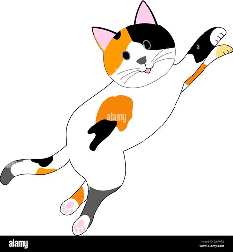 Calico Cat Jumping Hi Res Stock Photography And Images Alamy