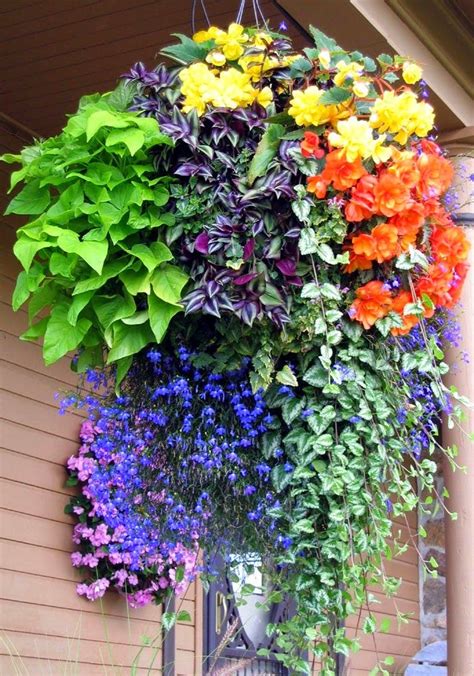 Perfect for long lasting outdoor displays without the maintenance that comes with real. Hanging Flower Basket Inspiration | Hanging plants ...