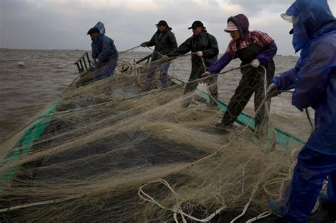 Podcast The History Of Overfishing In China China Dialogue Ocean