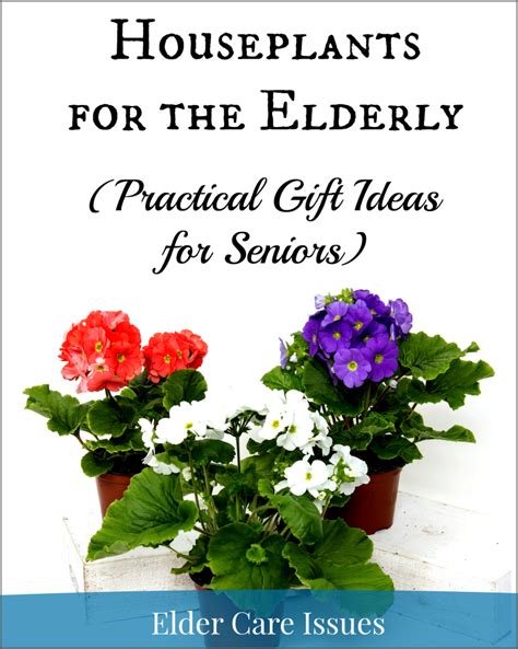 Maybe you would like to learn more about one of these? Houseplants for the Elderly--Practical Gift Ideas for ...