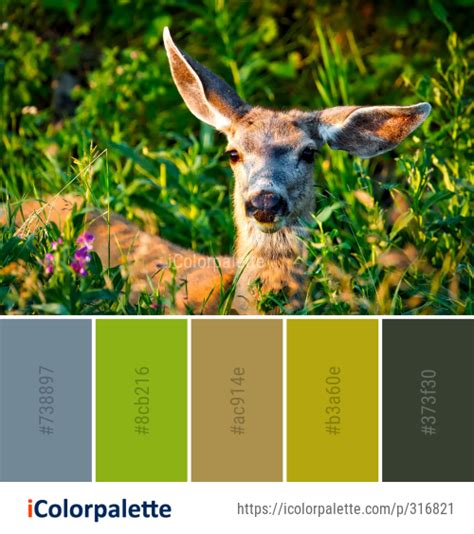 293 Deer Color Palette Ideas In 2023 Icolorpalette