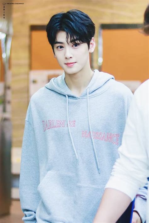When asked if his younger brother was as good looking as him, cha eun. Astro ile hayal et ve tepkiler in 2020 | Cha eun woo astro ...