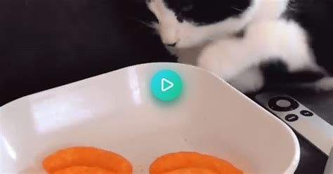 Toucha Da Cheeto Album On Imgur