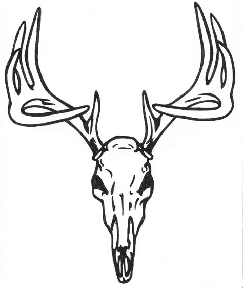 Deer Outline Drawing At Getdrawings Free Download