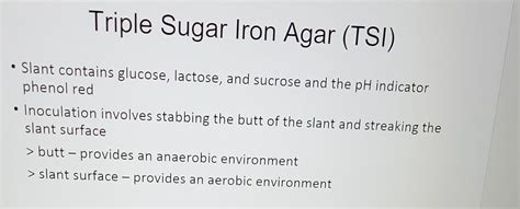 Solved Triple Sugar Iron Agar Tsi Slant Contains