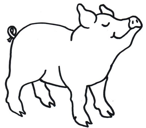 Pig Drawing Outline Clipart Best
