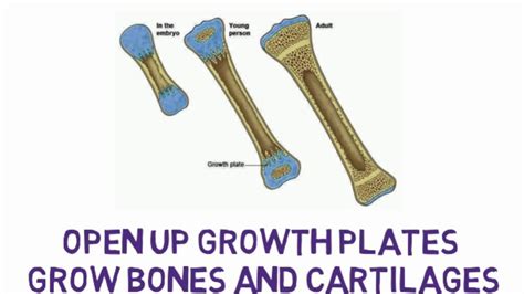 Grow Taller Open Up Growth Plates Binaural Beats With Subliminal