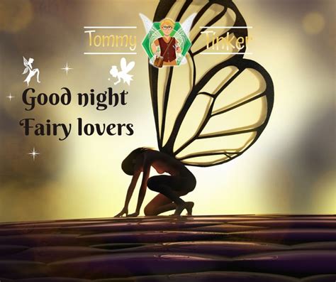 Good Night Fairy Lovers Fairy Friends Fairy Good Night