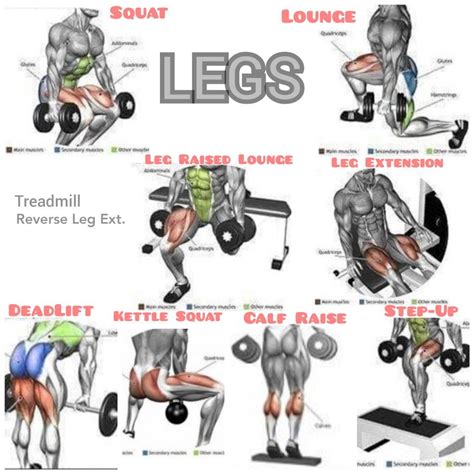Legs Day Leg Workouts Gym Best Gym Workout Workout Program Gym