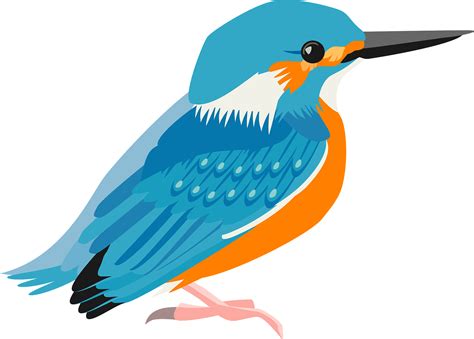 Kingfisher Bird Transparent Png Png Play