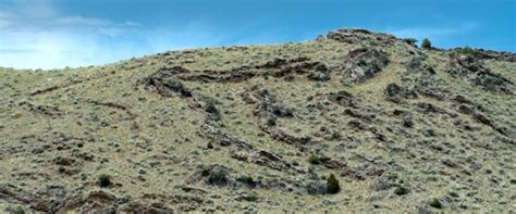 Overturned Folds In Limestone Montana Pan Geology Pics