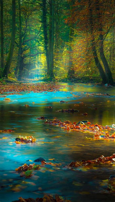 Magic Light In The Spessart Mountains Of Bavaria Germany Beautiful
