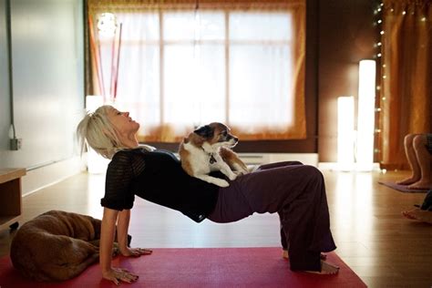 Rigorous yoga and fitness routine got you feeling tired? SLIDESHOW: West Seattle Yoga goes to the dogs | Westside ...