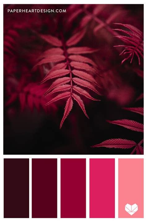 You Cant Argue With A Monochromatic Red Fern Inspired Color Palette