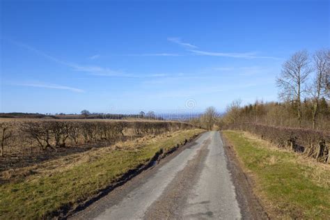 Country Road In Winter On The Yorkshire Wolds Stock Image Image Of