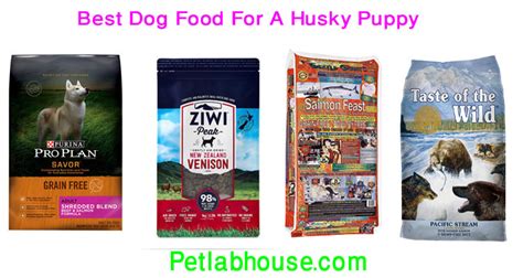 Best dog food for husky puppies. 10 Best Dog Food For A Husky Puppy Reviews With Buyer's ...