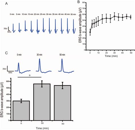 Classical Dark Adaptation In Erg Responses Normally Reared Rats Were