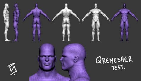 Tutorial On Creating Low Poly Mesh With Qremesher From High Ress