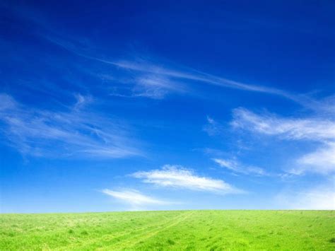 Blue Sky And Green Grass Hd Backgrounds For Powerpoint Templates Ppt