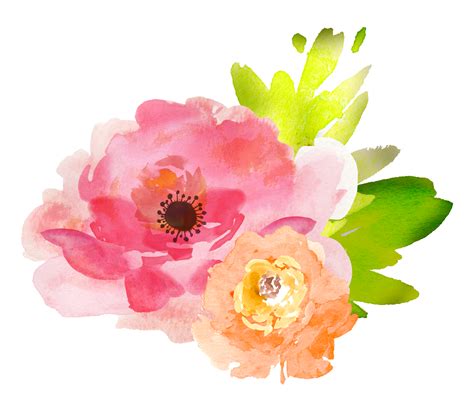 Free Watercolor Floral Elements Pretty Free Pretty Things For You