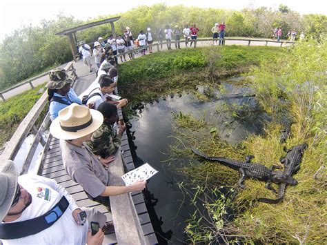 Everglades National Park Is Open Everglades National Park Us