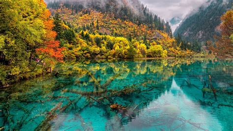 What Is Jiuzhaigou Sichuan Wanderlust Is Not Enough To Describe This