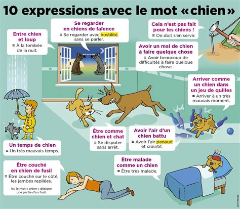 10 Expressions Avec Le Mot Chien Exercice Mémoire Enseignant Fle