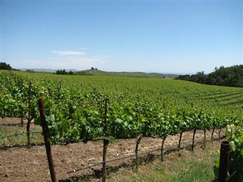 Hudson Ranch & Vineyards