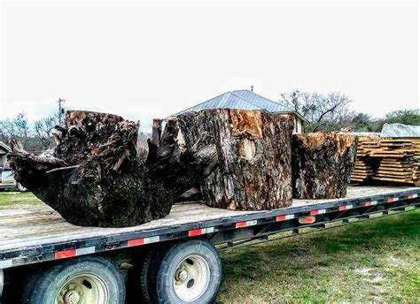 Wood Slabs And Milled Lumber Texas Pecan Wood