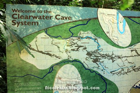 Mulu Clearwater Cave And Cave Of The Winds Nicolekiss Travel