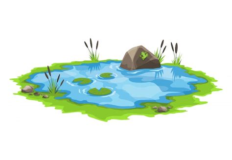 Picturesque Water Pond With Reeds And Stones Around The Concept Of An