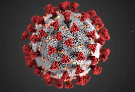 Covid Causing Coronavirus Illustrated By Centers For Disease Control