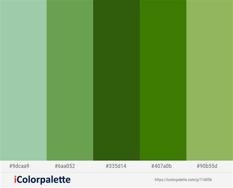Green Colour Palette Color Palettes Green Colors Dark Sea Green