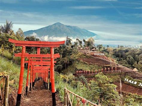 Apakah salah satu impian anda adalah melihat. Taman Jinja, Wisata Bernuansa Jepang di Bali. Serasa Liburan ke Negeri Sakura versi Ngirit!