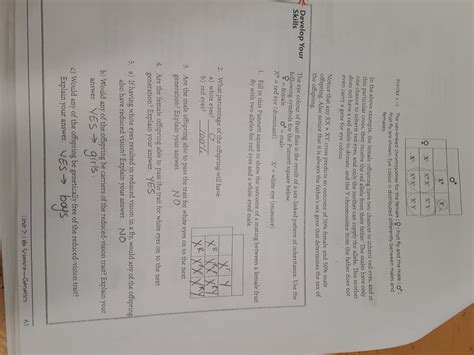Rna can act as an enzyme & because researchers have been able to create it in a lab 44. Myles of Science: Science 10