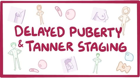 Slideshow Puberty Stages Early Puberty Signs Of Puber