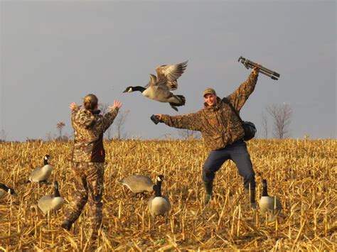 Goose Hunting Wallpaper Hd