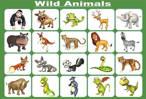 List Of Wild Animals Names In English For Kids