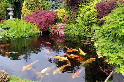 24 Stunning Koi Pond Design Ideas