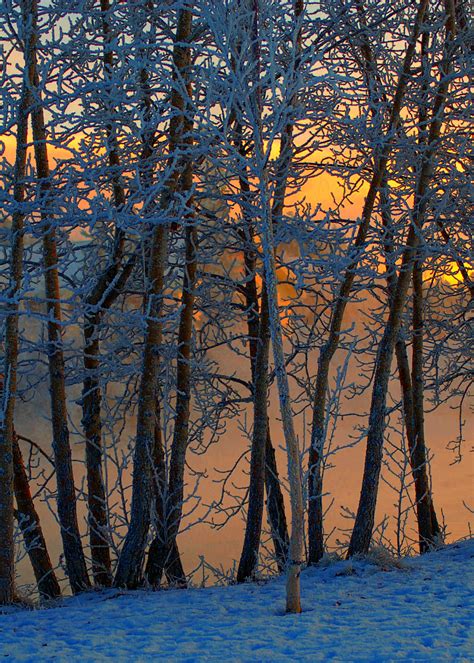 Ice Fog Reflecting In The Soft Sunlight Off The Yukon River In