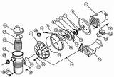 Pictures of Pool And Spa Pump Diagram