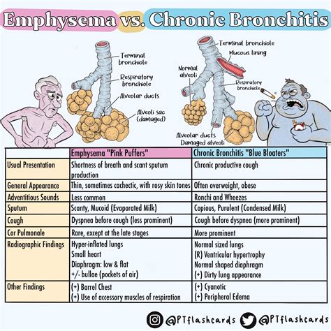 Copd Emphysema Vs Chronic Bronchitis Nursing School Info Nursing