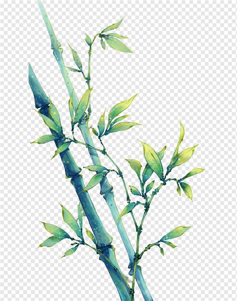 Green Leaf Plant China Bamboo Art Drawing Anime Green Bamboo Love